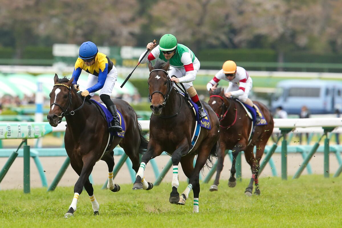 名馬伝説】両親の血が騒ぐ2019年皐月賞馬・サートゥルナーリア、父は短